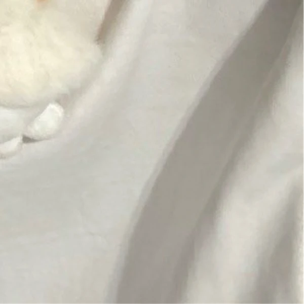 Penampilan Han Yujin (ZEROBASEONE) yang Paling Dicintai Hari Ini