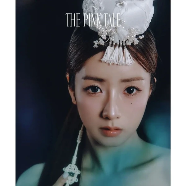 充满粉丝爱意的尹普美 (Apink)人气照片