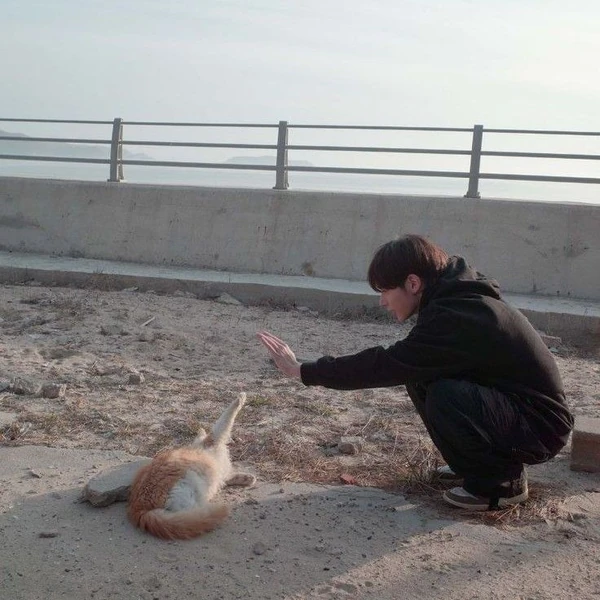 Fans' Pick: Best Moment of TOMORROW X TOGETHER