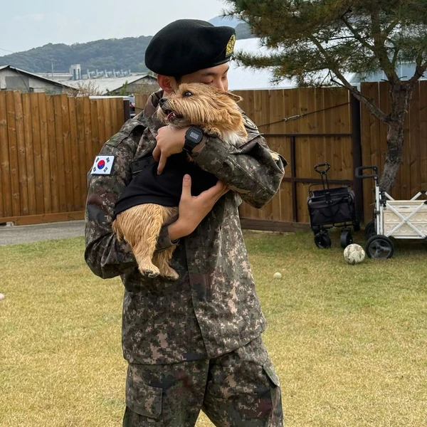 充滿粉絲愛意的SEVENTEEN人氣照片