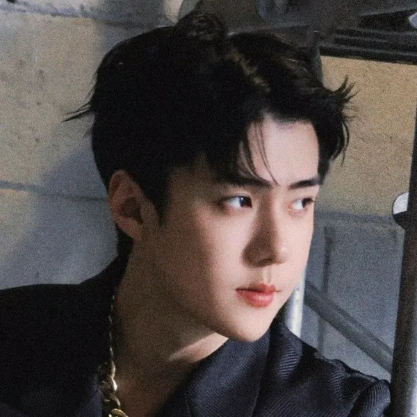 今天最受喜爱的世勋 (EXO)