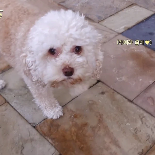 充满粉丝爱意的HANNI (NewJeans)人气照片