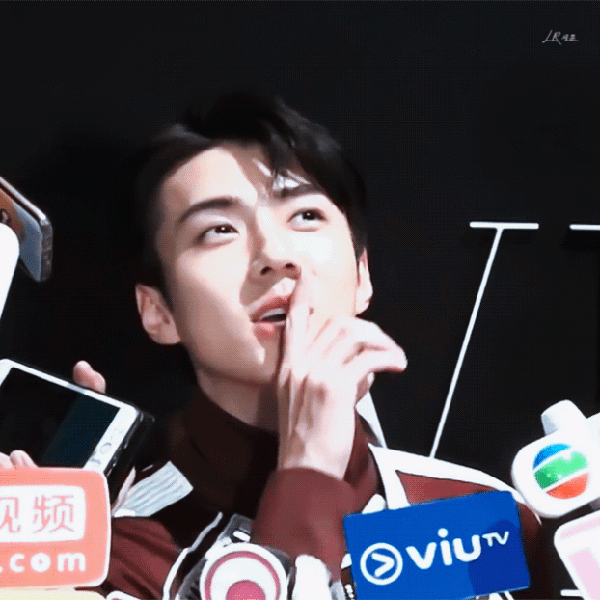 充滿粉絲愛意的世勳 (EXO)人氣照片