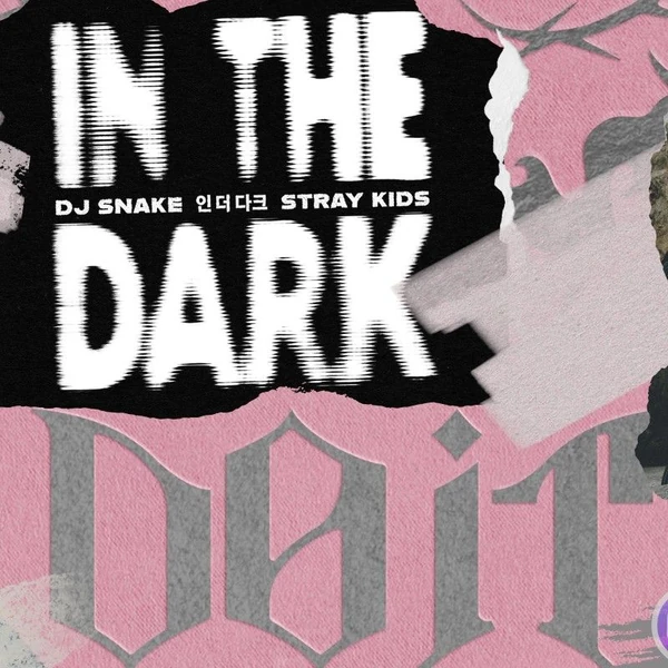 Fans' Pick: Best Moment of HAN (Stray Kids)