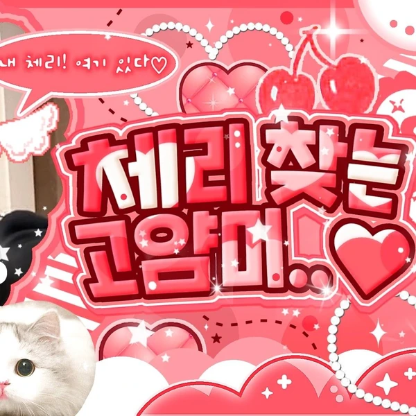 MEOVV 팬심 가득한 인기 사진