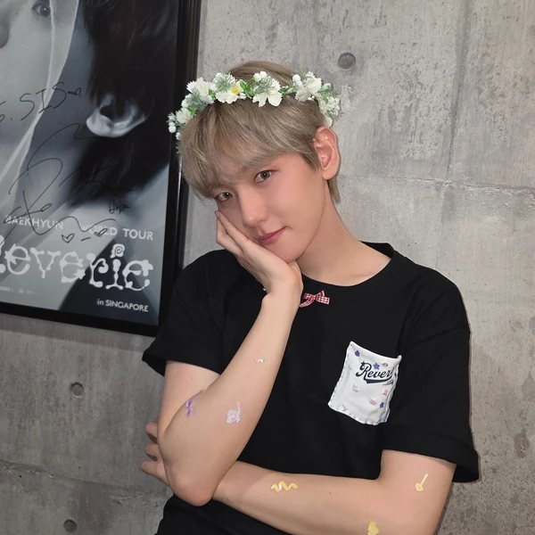 ベクヒョン (EXO)への愛が詰まった人気写真