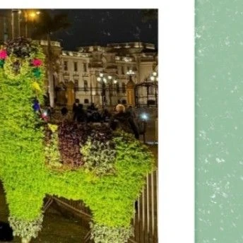 Momen Terbaik SU A (DREAMCATCHER) Pilihan Penggemar