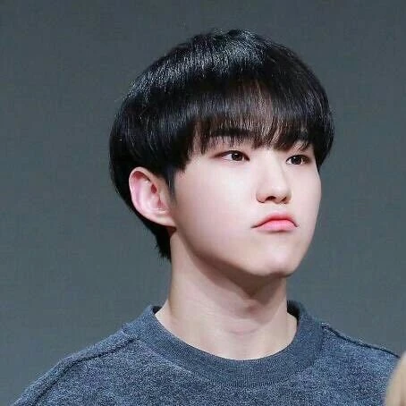 오늘 가장 사랑받은 세븐틴의 모습