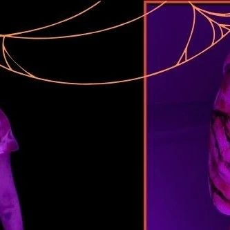 Top Photo Full of AleXa Love