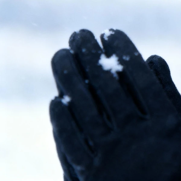 Today's Most Loved Jinsol(2001)