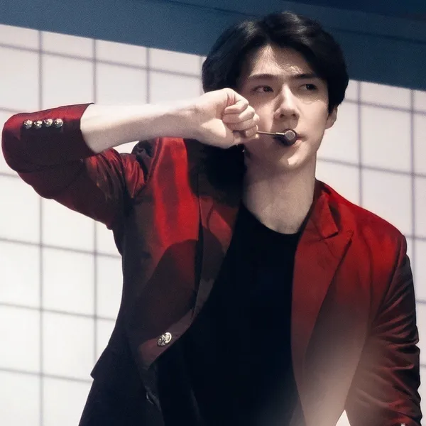 今日最受喜愛的世勳 (EXO)