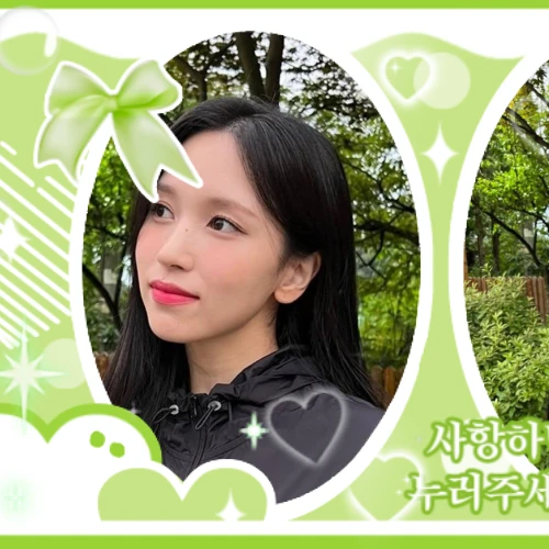 팬들이 뽑은 미나 (TWICE) 최고의 순간