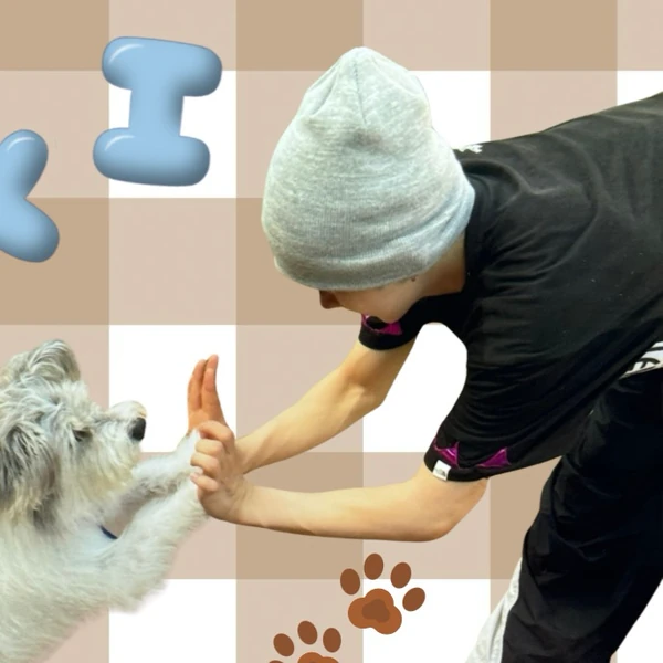 Today's Most Loved Yumeki