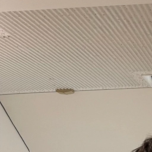 Today's Most Loved Michieda Shunsuke (Naniwa Danshi)