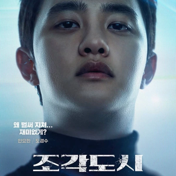 充滿粉絲愛意的D.O. (EXO)人氣照片