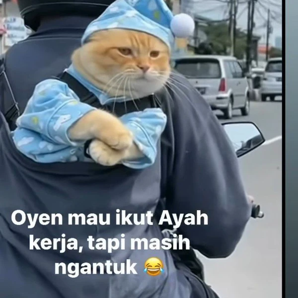 充滿粉絲愛意的Mina (TWICE)人氣照片