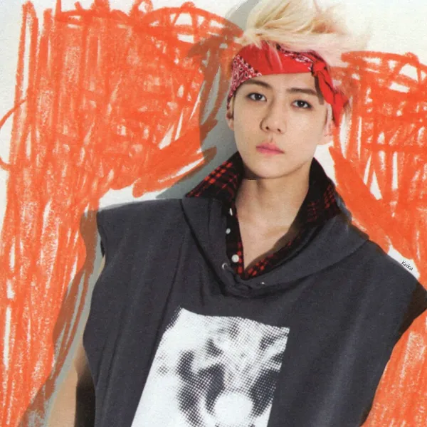 팬들이 뽑은 세훈 (EXO) 최고의 순간