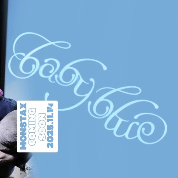 充满粉丝爱意的MONSTA X人气照片