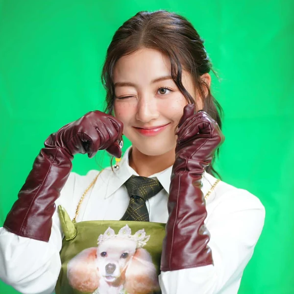 充满粉丝爱意的志效 (TWICE)人气照片