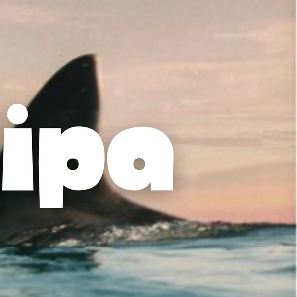 Top Photo Full of Dua Lipa Love