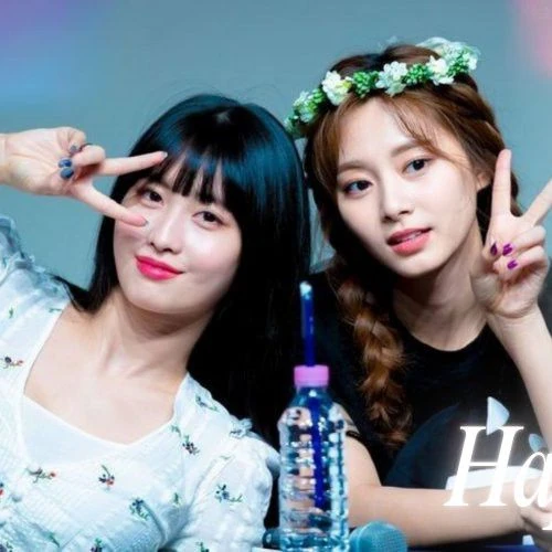 팬들이 뽑은 쯔위 (TWICE) 최고의 순간