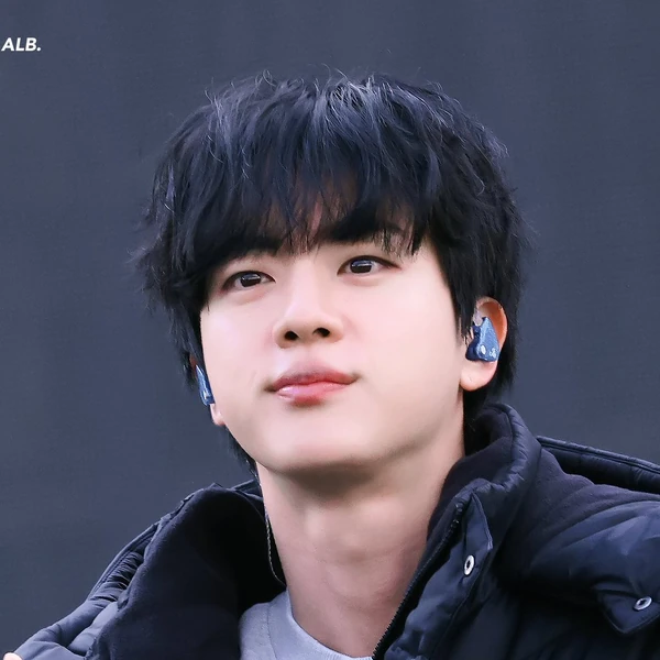 투표로 선정된 진 (방탄소년단)의 인기 프로필 이미지