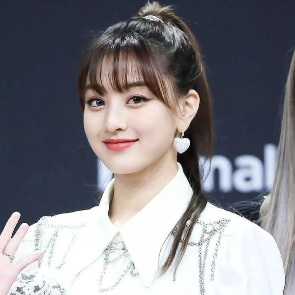 粉絲票選的TWICE最佳瞬間