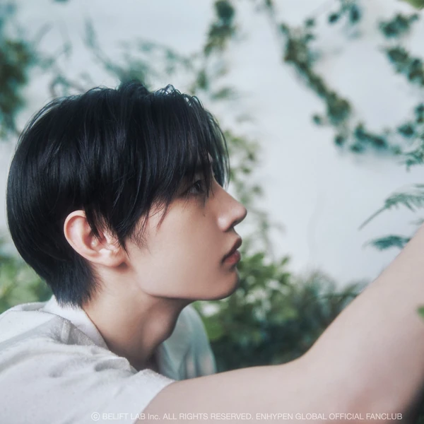 充滿粉絲愛意的ENHYPEN人氣照片