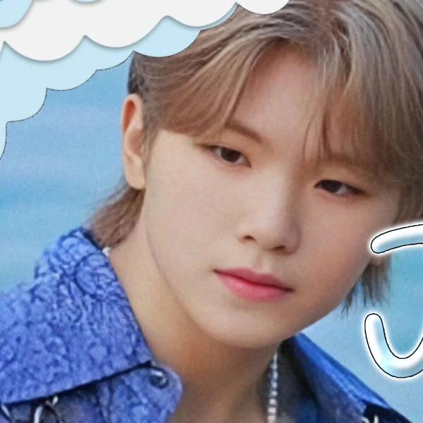 세븐틴 팬심 가득한 인기 사진