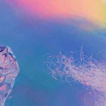 슈퍼주니어 팬심 가득한 인기 사진