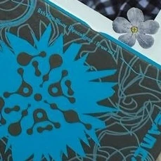 Top Photo Full of SU A (DREAMCATCHER) Love