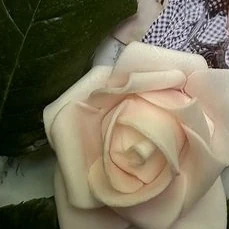 Fans' Pick: Best Moment of SU A (DREAMCATCHER)