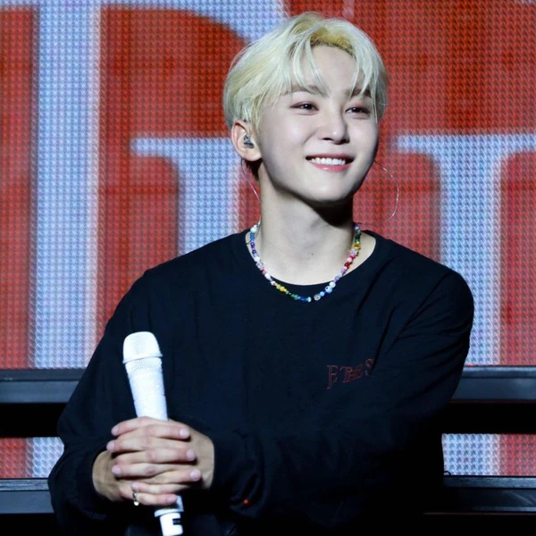 今日最受喜愛的勝寛 (SEVENTEEN)