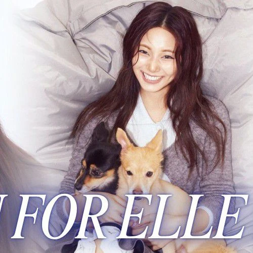 팬들이 뽑은 쯔위 (TWICE) 최고의 순간