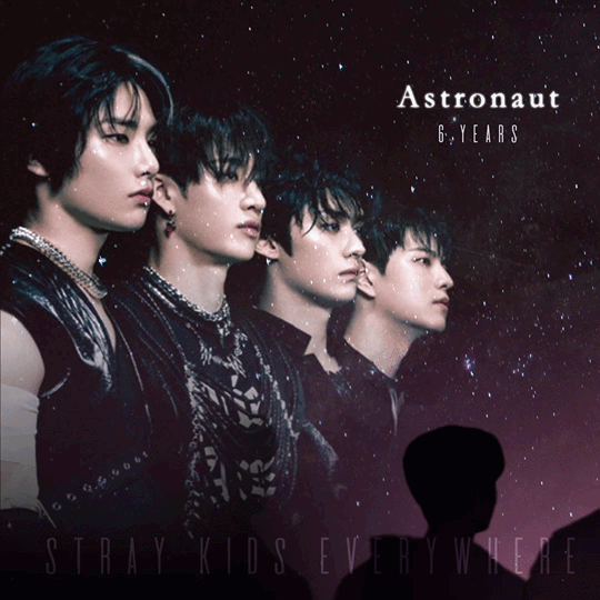 Stray Kids 팬심 가득한 인기 사진