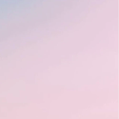 Top Photo Full of LUCY Love