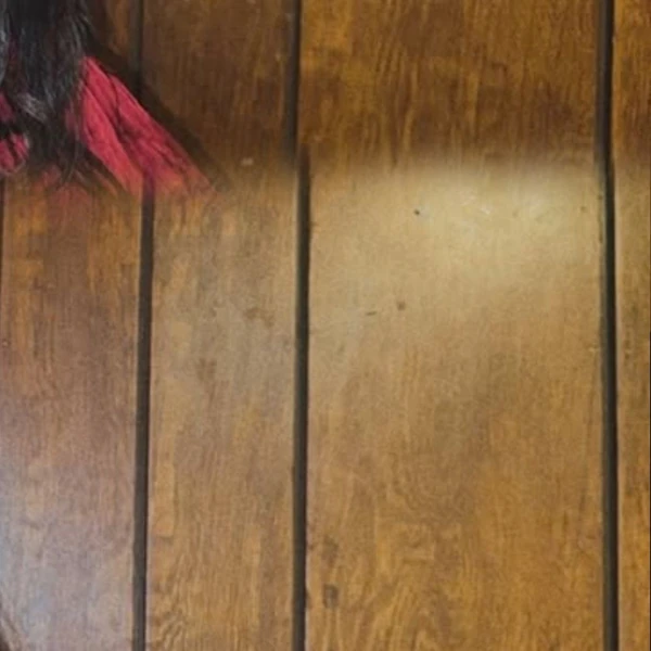 Fans' Pick: Best Moment of LIZ (IVE)