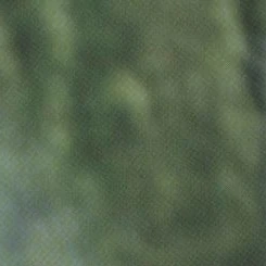 Today's Most Loved Dami (DREAMCATCHER)