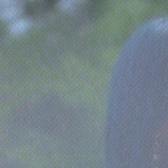 Fans' Pick: Best Moment of Dami (DREAMCATCHER)