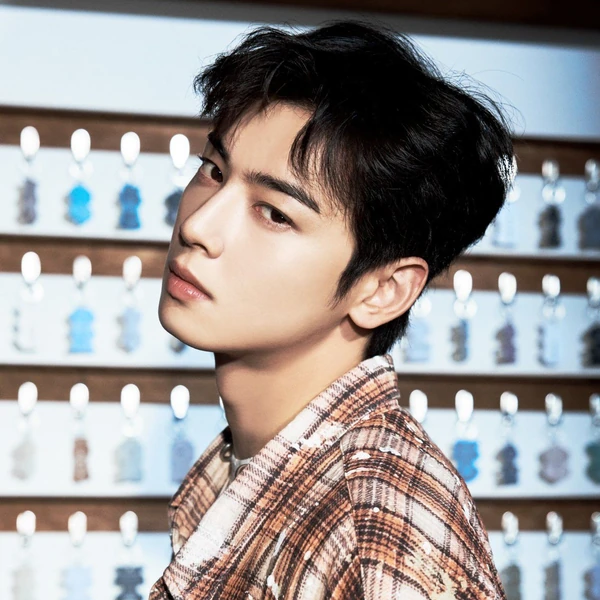 Today's Most Loved ARrC