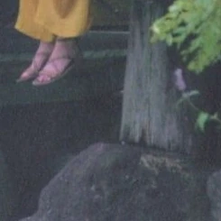 Foto Populer Penuh Cinta untuk Dami (DREAMCATCHER)