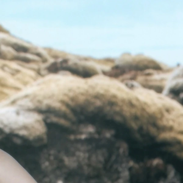 Today's Most Loved HyunJin (Loossemble)