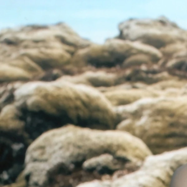 Fans' Pick: Best Moment of HyunJin (Loossemble)