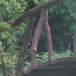 Fans' Pick: Best Moment of Dami (DREAMCATCHER)