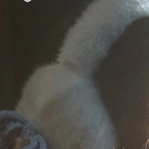 Top Photo Full of Chuu Love