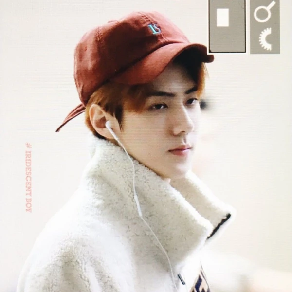 팬들이 뽑은 세훈 (EXO) 최고의 순간