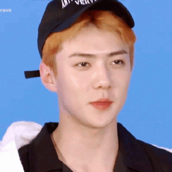 세훈 (EXO) 팬심 가득한 인기 사진