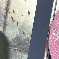 Top Photo Full of Siyeon (DREAMCATCHER) Love