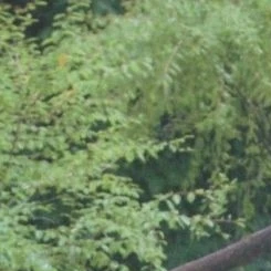 다미 (드림캐쳐) 팬심 가득한 인기 사진