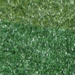 Top Photo Full of Rora (BABYMONSTER) Love